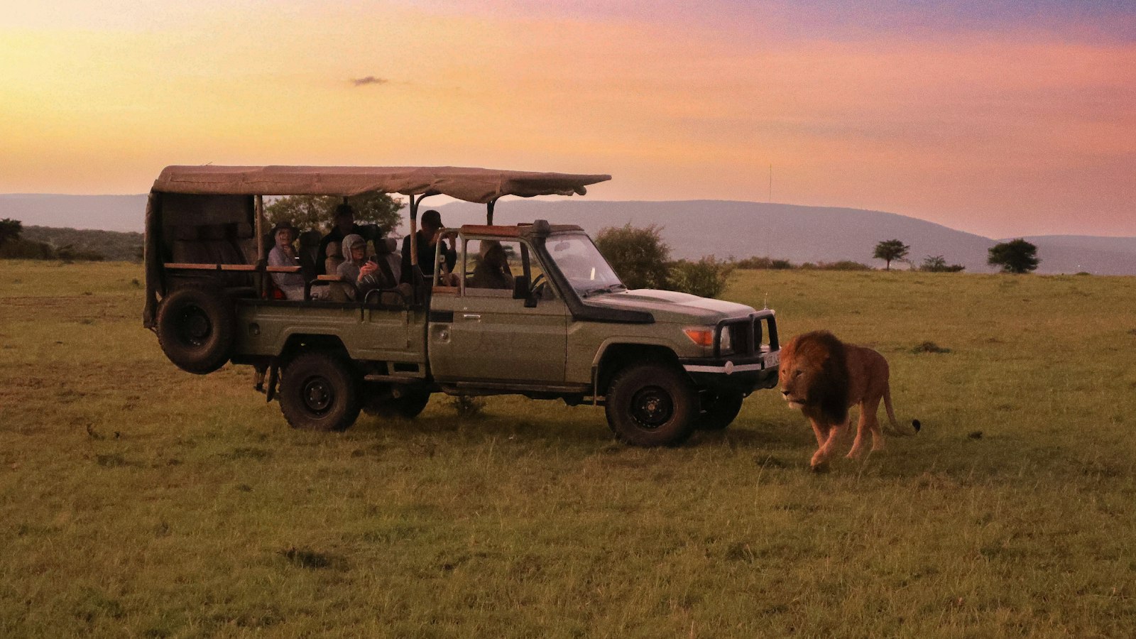 How Much Does a Uganda Safari Cost? Budget, Mid Range and Luxury