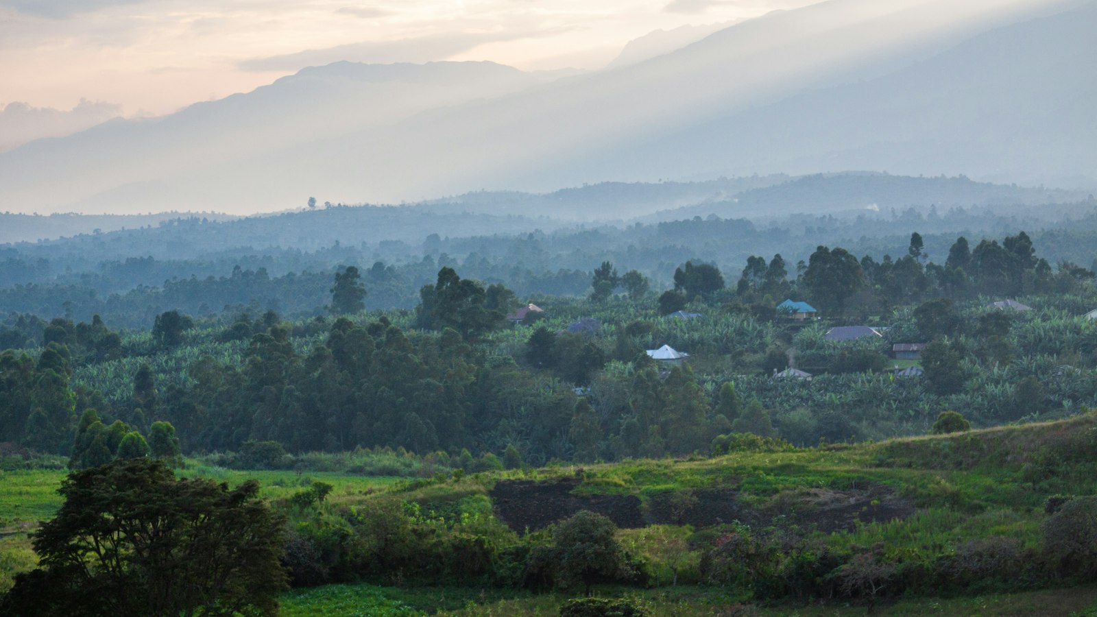 How to Write a Land Sale Agreement in Uganda: What to Include and Mistakes to Avoid