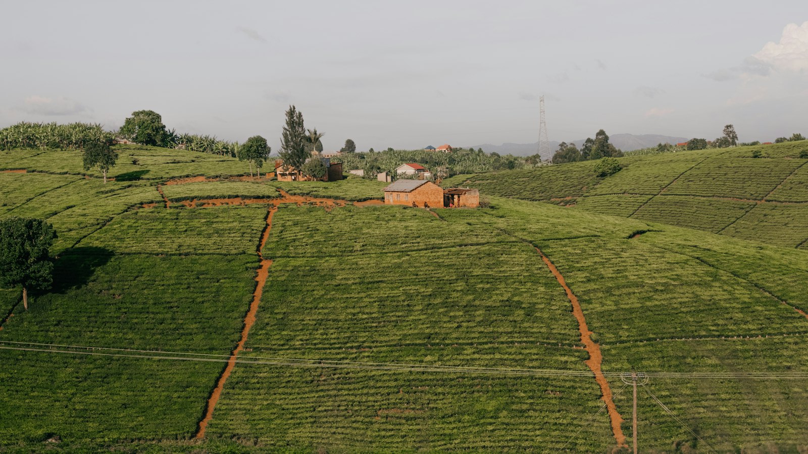 How to Get a Land Title in Uganda in 2026: Steps, Real Costs and the New Government Reforms