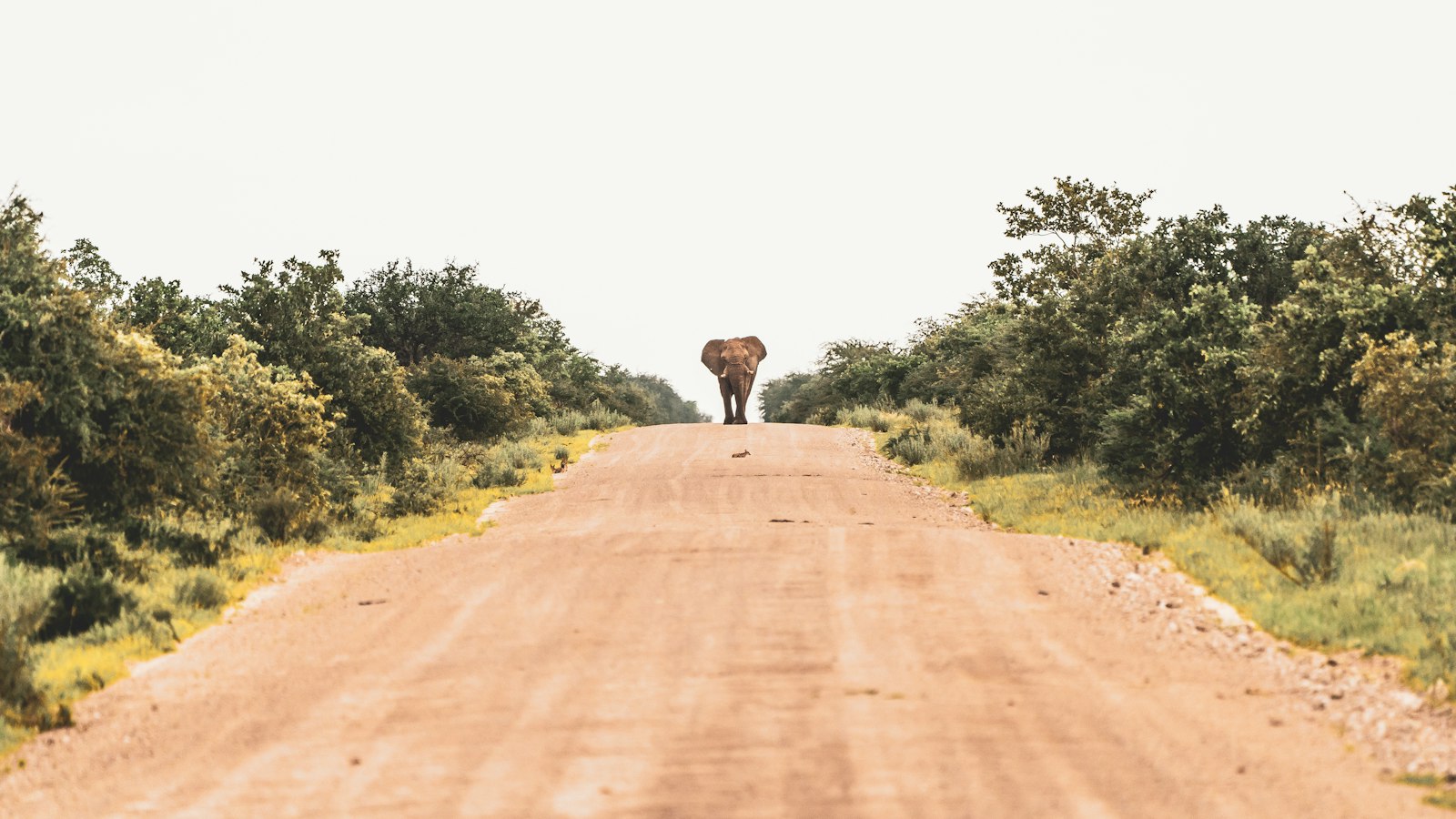How to Verify a Land Title in Uganda Before You Buy