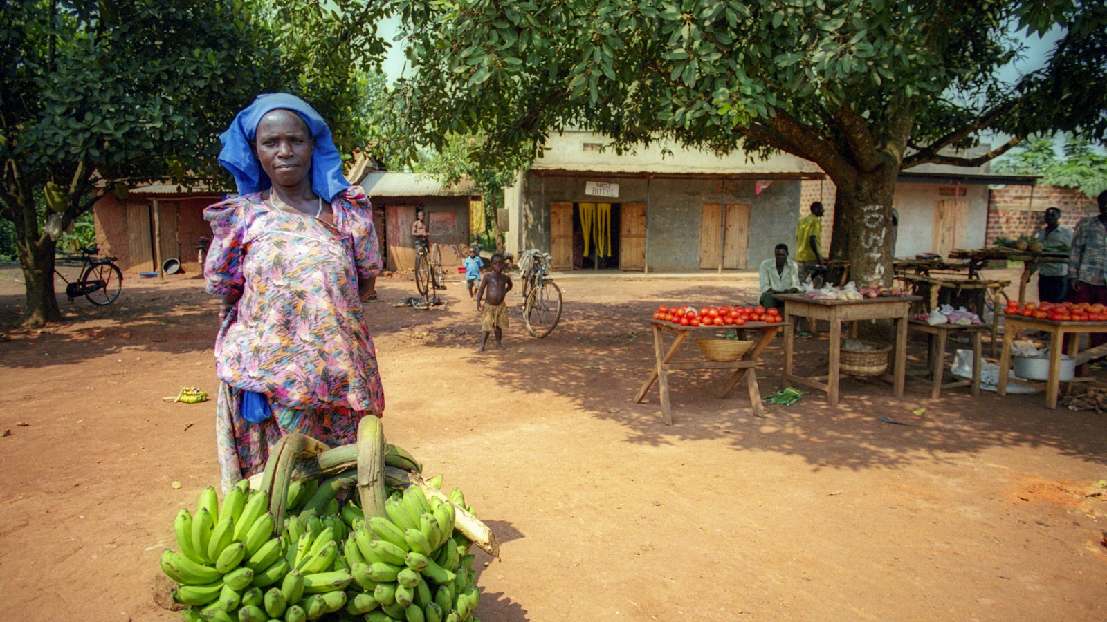 Matooke (Banana) Farming in Uganda: How to Grow Bigger Bunches