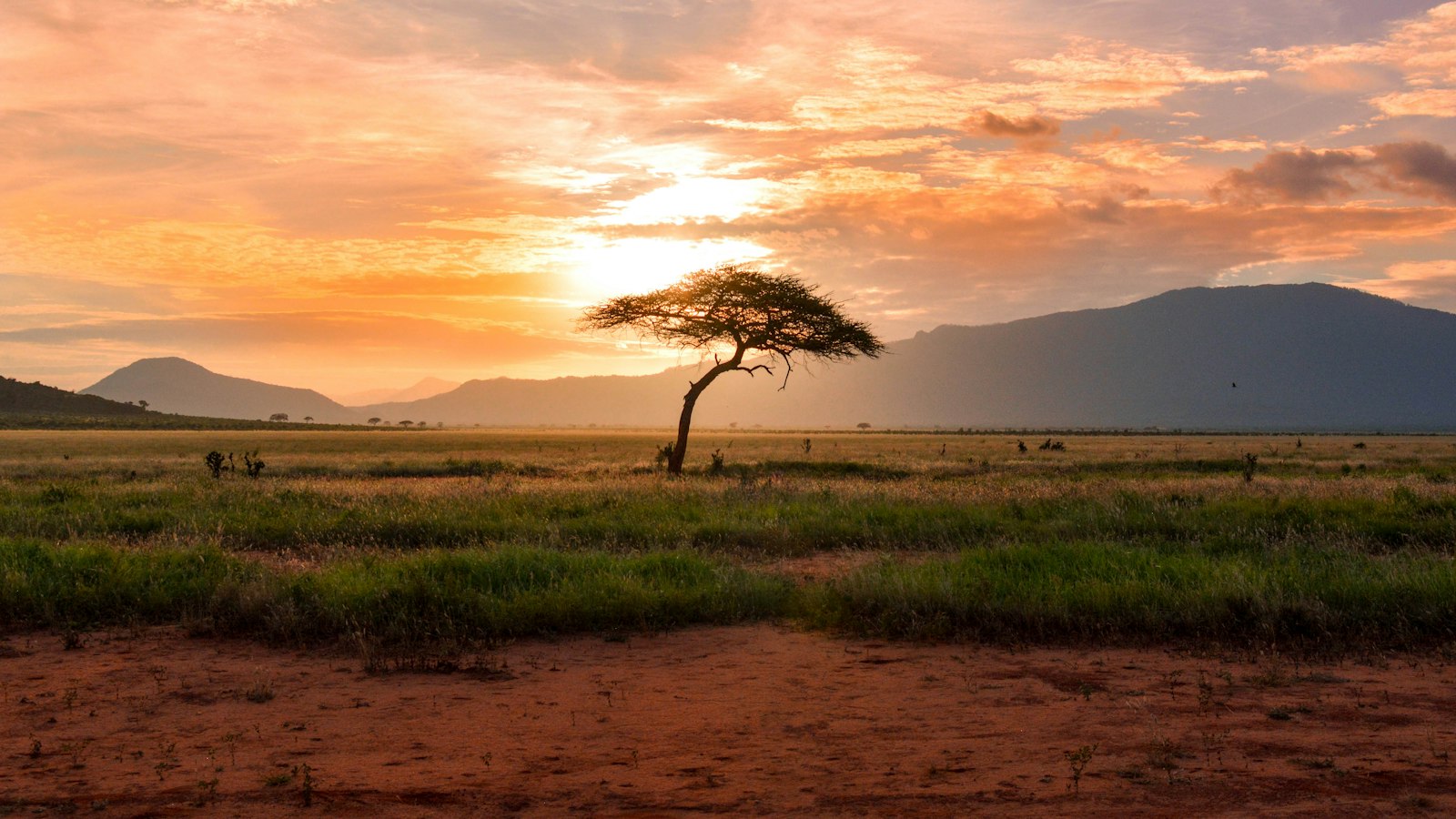 Kidepo Valley National Park Guide: Uganda's Wildest Park
