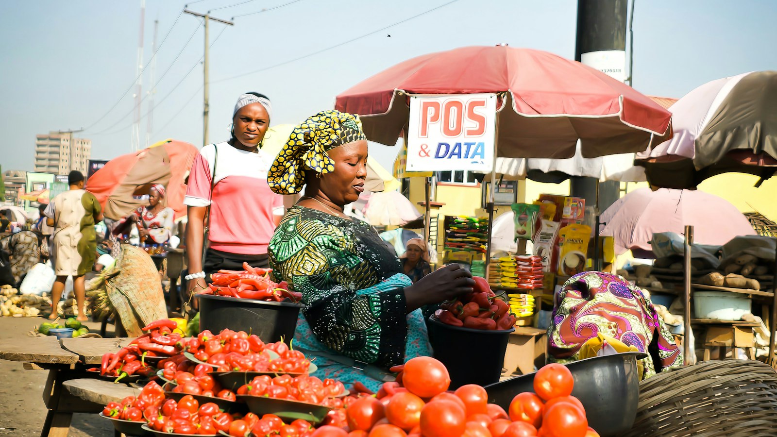 Tomato Farming in Uganda: Varieties, Spacing, Diseases and Profit